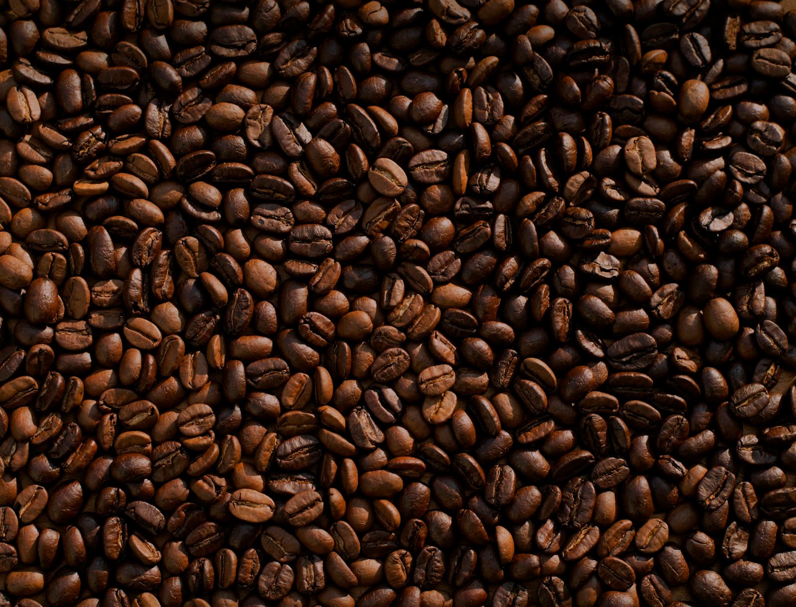Geröstete Kaffeebohnen in Nahaufnahme